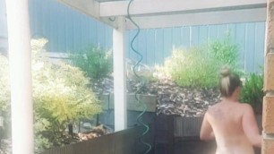 Sprinkler in the garden