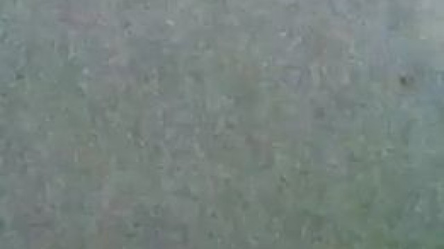 Big soft dick, pre-cum play... message me for full video