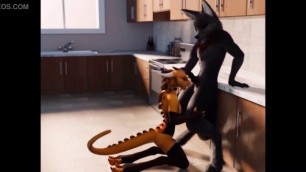 Furry Wolf Kitchen Blowjob Animation